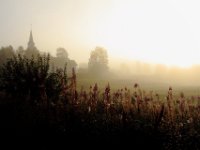 IMG 0877001